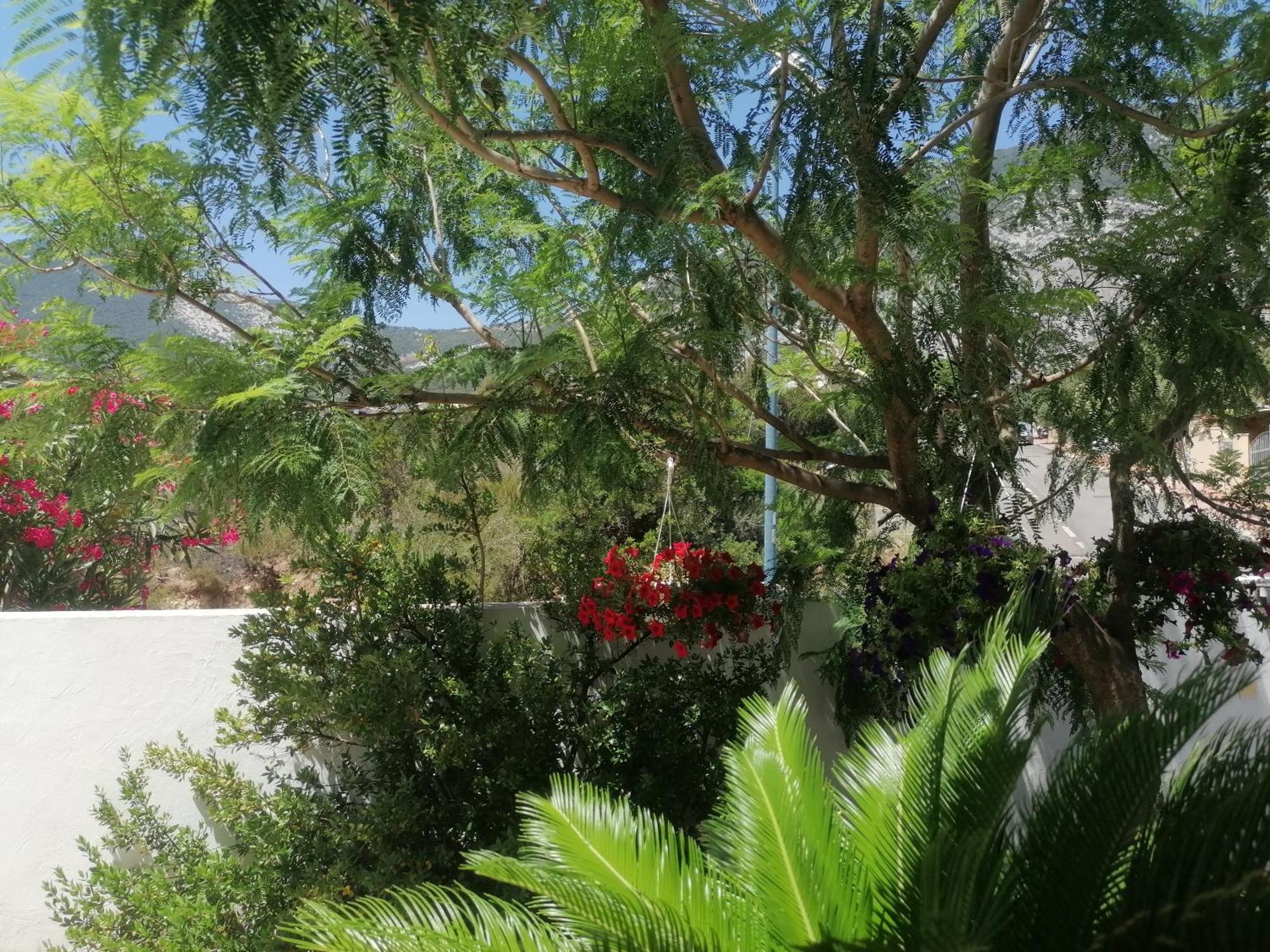 Appartement Blue Trane à Cala Gonone Extérieur photo